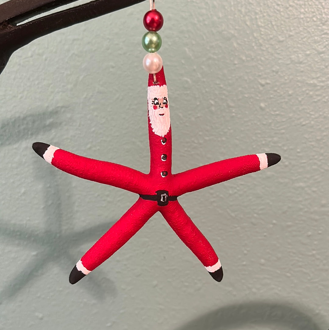 Santa Clause Starfish