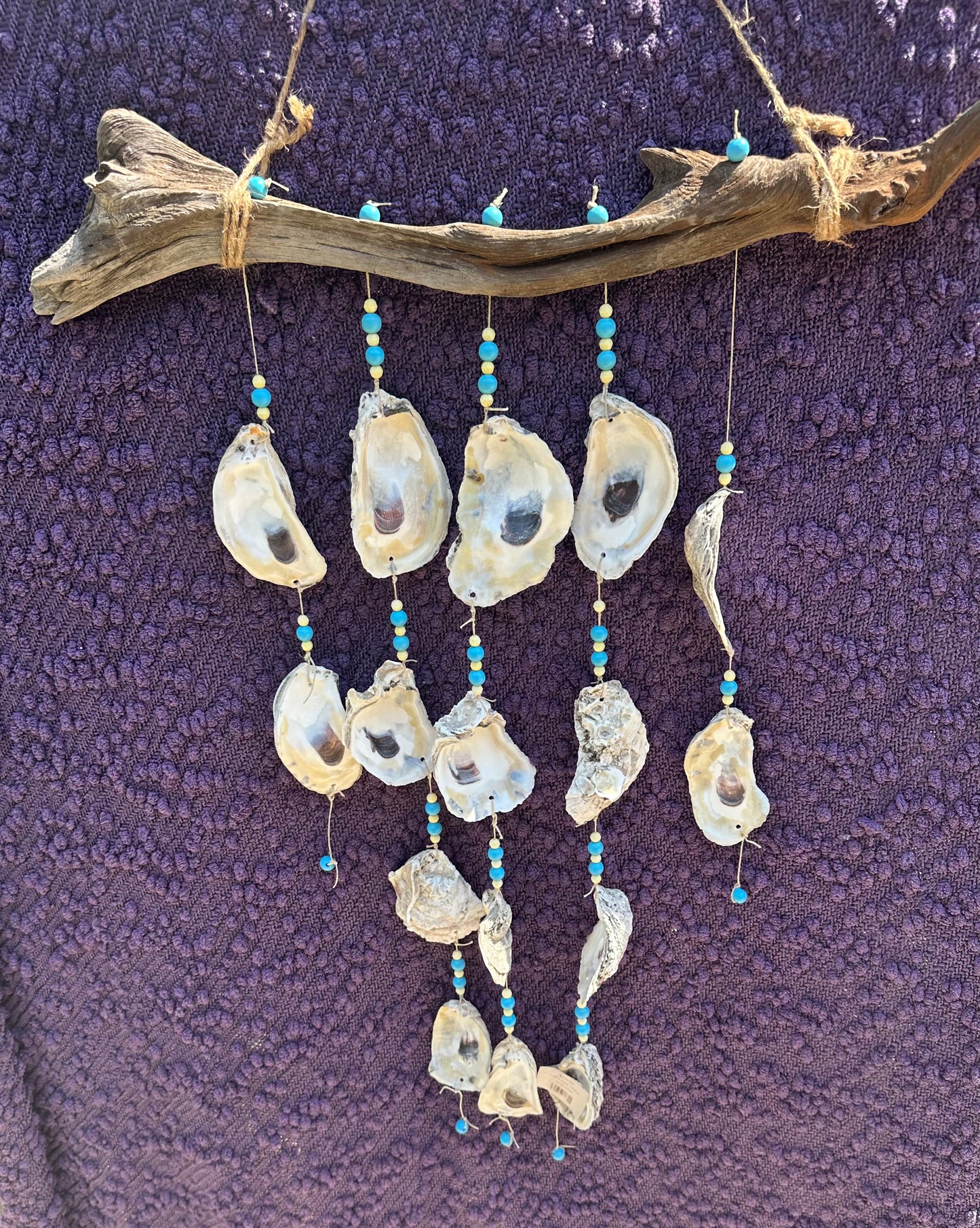 Oyster Chime